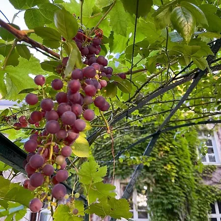 住宿加早餐酒店 Chateau De Montaupin 4*