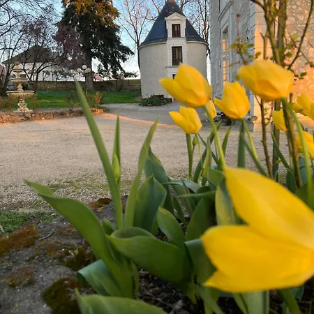 Couette-café Château De Montaupin Oizé