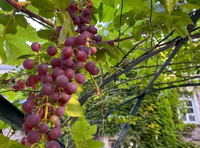 Couette-café Château De Montaupin 4*